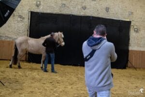 studio-cheval-equites-grain-de-pixel-photographe-equestre-8