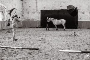 studio-cheval-equites-grain-de-pixel-photographe-equestre-8