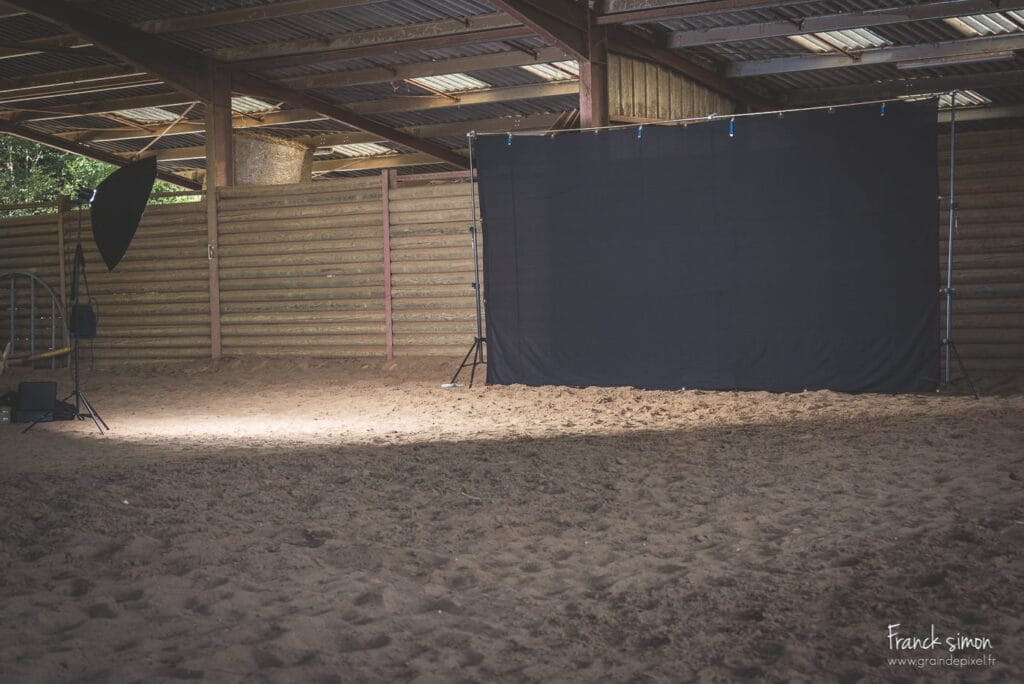 fond-studio-cheval-equites-grain-de-pixel-photographe-equestre