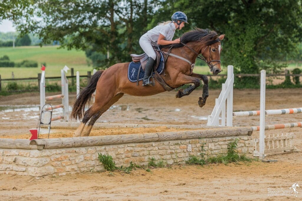 cso-oxer-grain-de-pixel-photographe-equestre-animalier