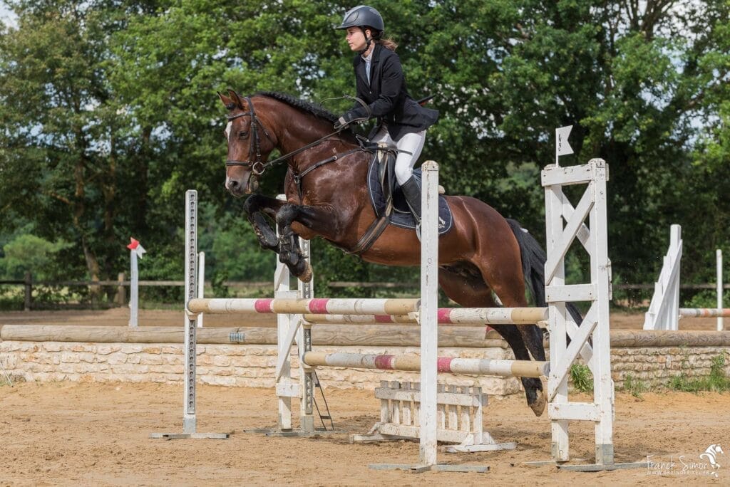 cso-oxer-grain-de-pixel-photographe-equestre-animalier