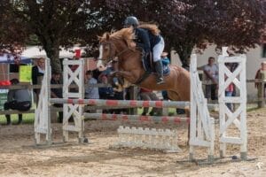 concours-hippique-grain-de-pixel-photographe-equestre-animalier