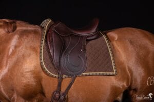 antares-sellier-Cheval-bavard-novembre-2019-grain-de-pixel--photographe-equestre-cuir-sellerie
