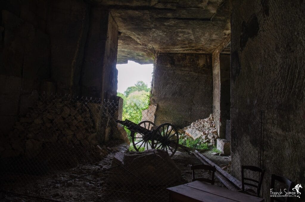 Force-tranquille-saint-même-les-carrières-séance-photo-trait-poitevin-239