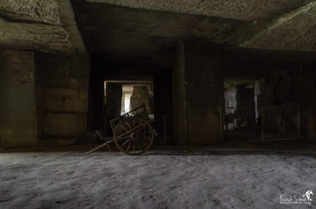 Force-tranquille-saint-même-les-carrières-séance-photo-trait-poitevin-239