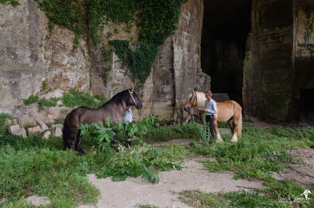 Force-tranquille-saint-même-les-carrières-séance-photo-trait-poitevin-239