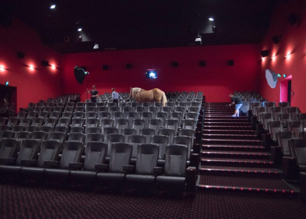 force-tranquille-cinema-megarama-grain-de-pixel-credit-photo-angelique-grip