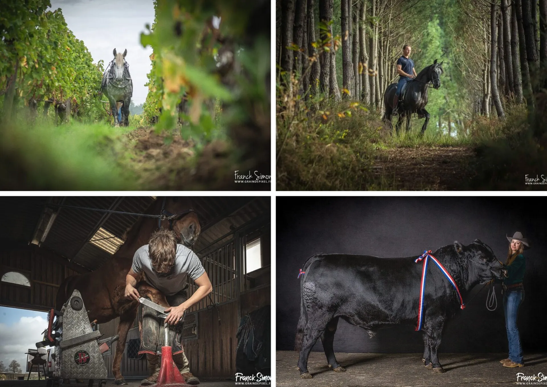 cession de droits - diffusion des images - s'informer et s'éduquer sur el respect du droit d'auteur