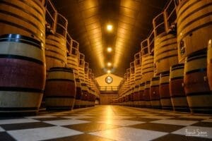 chateau-pape-clement-trait-de-vigne-grain-de-pixel