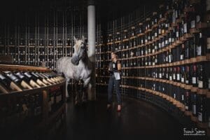 trait-de-vigne-latitude-20-cite-du-vin-bordeaux