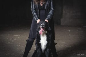 photographes-canins-copie-photos-style