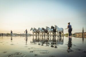 miroir-eau-bordeaux-grain-de-pixel-136