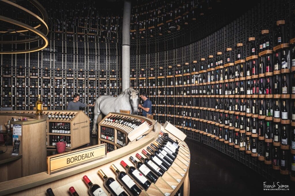 cité du vin - bordeaux - percheron dans la cave du latitude 20 - cheval des vignes - grain de pixel - photographe équestre