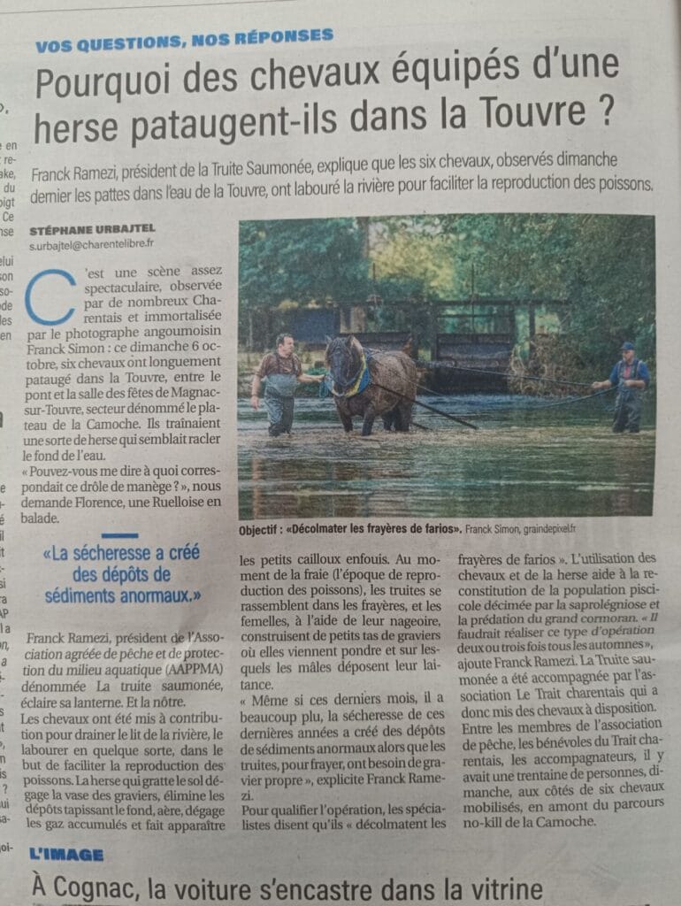 Presse è Sud Ouest - Série photo - Le Trait Charentais - Grain de Pixel - photographe professionnel à Angoulême - Franck Simon