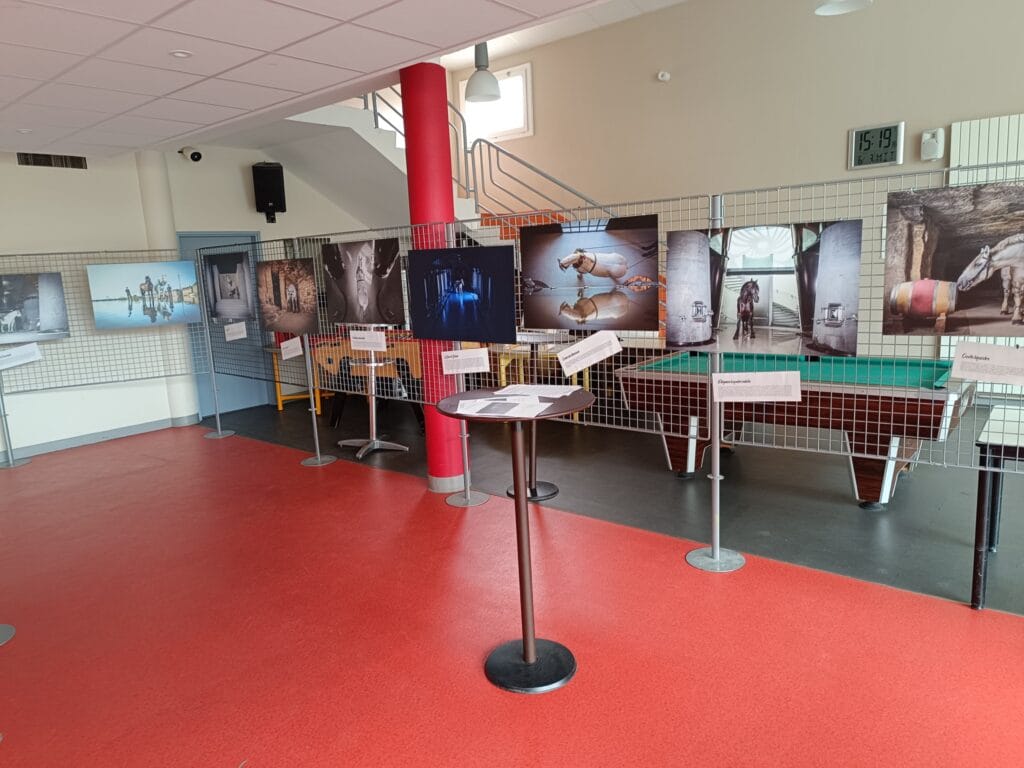 Exposition photo - Lycée agricole Félix Gaillard - Barbezieux - Trait de Vigne - Grain de Pixel - photographe à Angoulême - Nouvelle Aquitaine