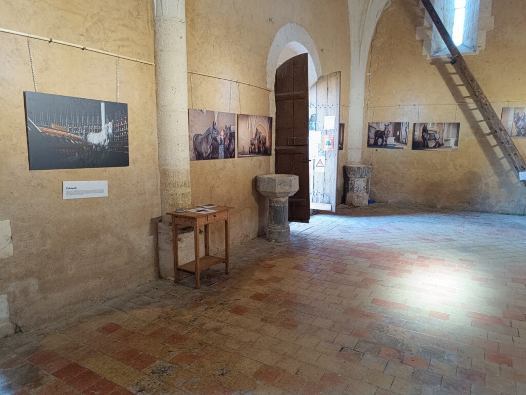Exposition photo - Des géants dans la lumière -, Eglise Notre Dame de Garde Le Pontaroux - Grain de Pixel - Franck SIMON - photographe à Angoulême - Charente - Nouvelle Aquitaine