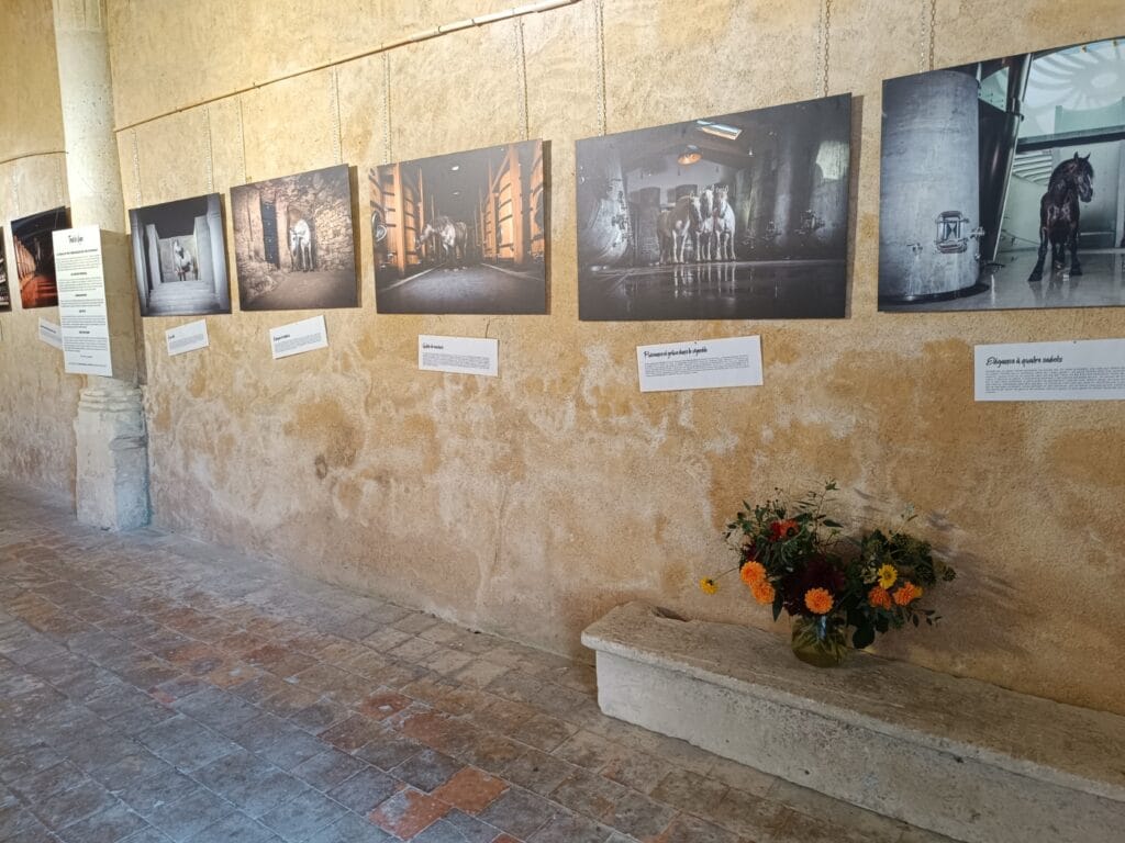 Exposition photo - Des géants dans la lumière -, Eglise Notre Dame de Garde Le Pontaroux - Grain de Pixel - Franck SIMON - photographe à Angoulême - Charente - Nouvelle Aquitaine