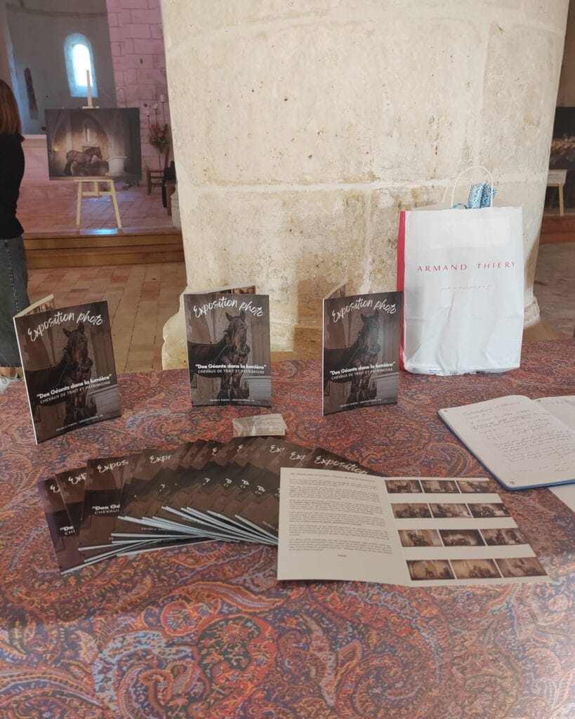 Exposition photo - Des géants dans la lumière -, Eglise Notre Dame de Garde Le Pontaroux - Grain de Pixel - Franck SIMON - photographe à Angoulême - Charente - Nouvelle Aquitaine
