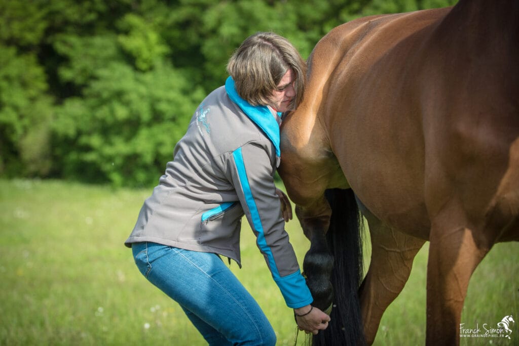 Animolistic - ostéopathie du cheval - reportage photo - Grain de Pixel - photographe équin et canin - Charente
