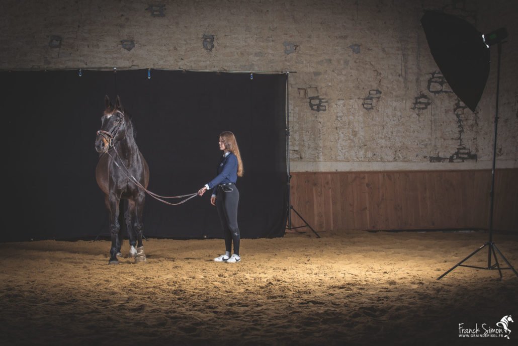 studio photo équestre - flash studio - photographe équin et canin à Angoulême