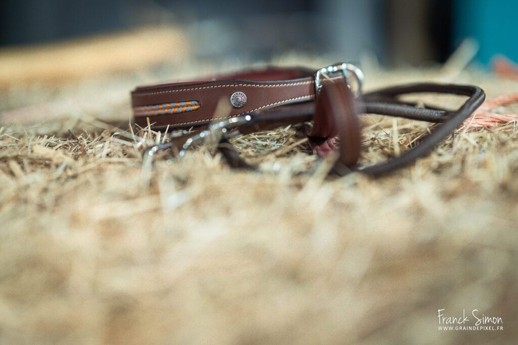 colliers et laisses cuir pour chien - shooting produit - Antares sellier - grain de Pixel - photographe canin -Charente - Angoulême