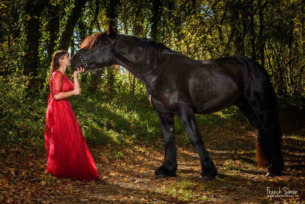 fanny et Irou - cheval de trait poitevin - séance photo cavalière et cheval - Grain de Pixel - photographe équestre et canin - Charente - Angoulême