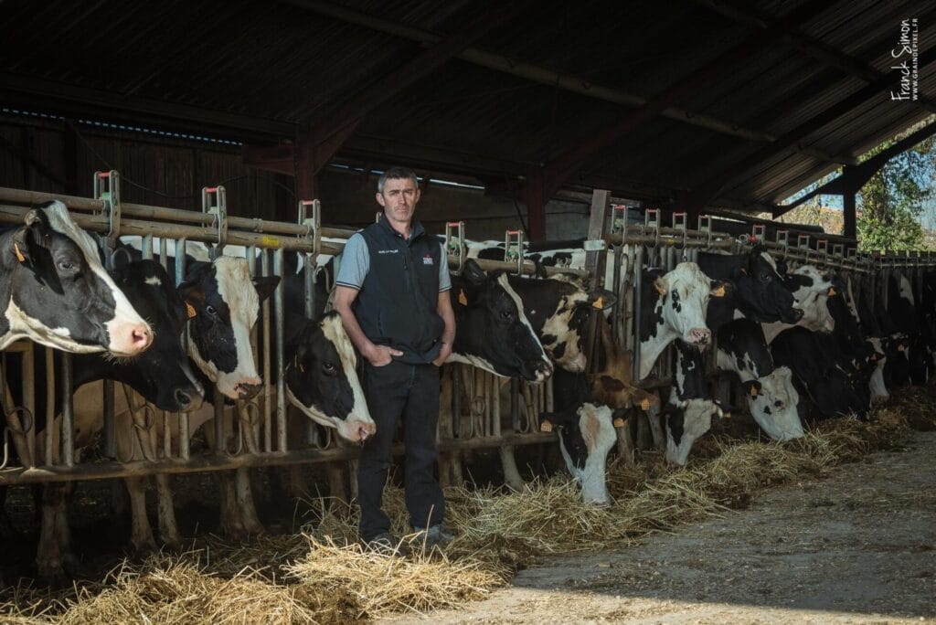 ferme de la vallée - élevage de vaches laitières - reportage en exploitation agricole - Grain de Pixel - photographe professionnel - Charente
