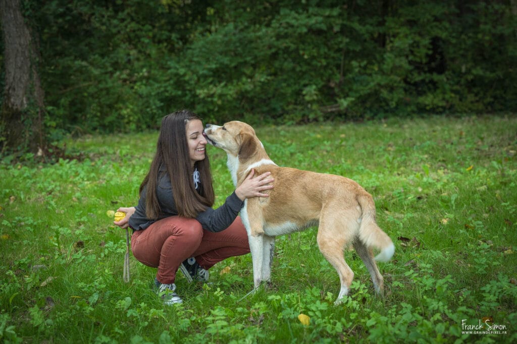 Mille patounes - pet sitter pour animaux e compagnie - Grain de Pixel - photographe canin à Angoulême - Charente