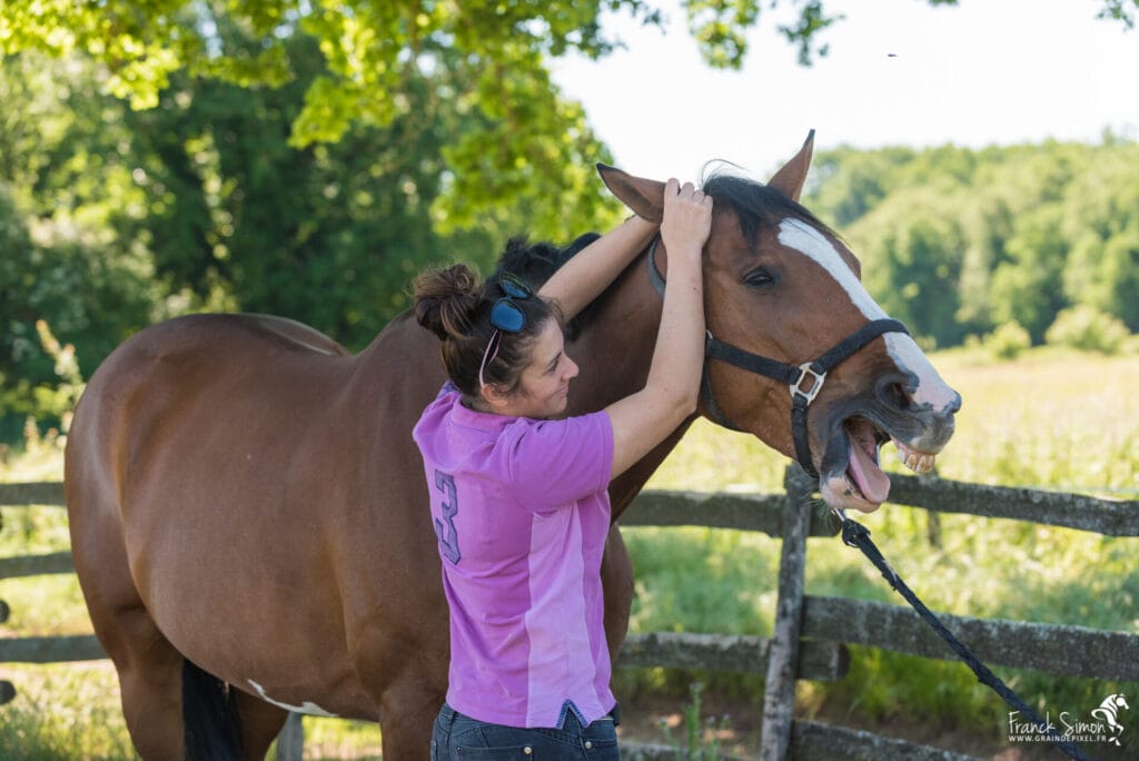 physiothérapeute du cheval - soins et récupération du cheval - reportage photo - Grain de Pixel - photographe pour le cheval et le chien - Angoulême - Charente