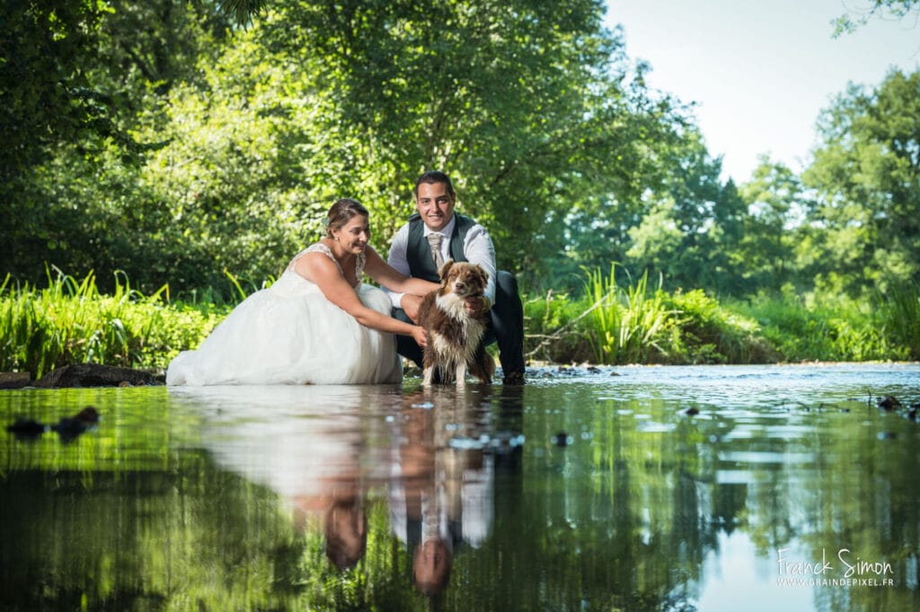 Prune - séance photo chien berger australien - séance photo mariage - Grain de Pixel - photographe canin - Charente - Angoulême