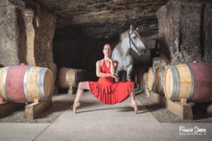 le cheval de trait en studio - studio photo équin - Grain de Pixel - photographe équestre et canin - Angoulême - Charente