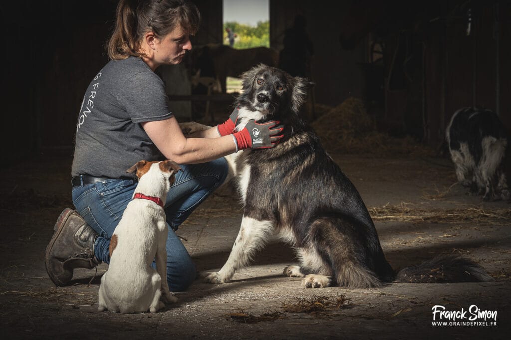 charlene-doublet-marechal-ferrant-charente-grain-de-pixel-photographe-professionnel-charente