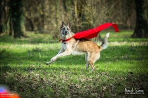 photographe qui doute - grain de pixel - photographe en charente