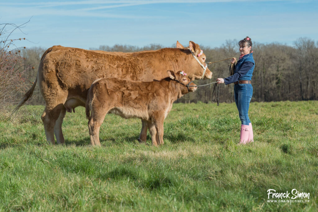 séance photo - affiche 2025 - La Ferme s'invite - franck Simon - Grain de Pixel - photographe pour els agriculteurs - Charente