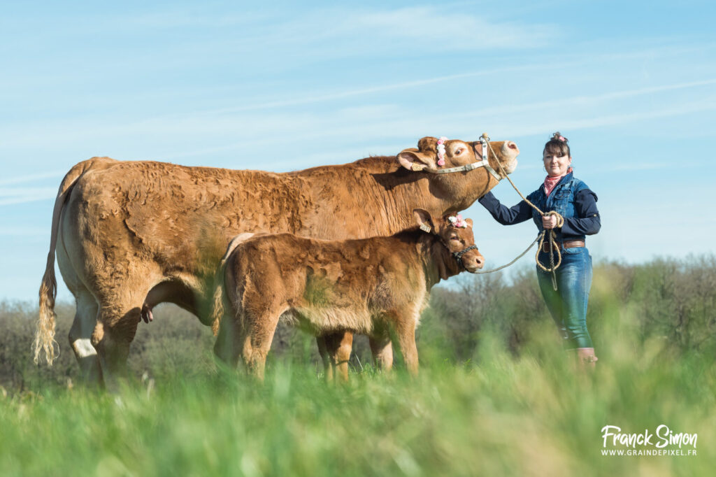 séance photo - affiche 2025 - La Ferme s'invite - franck Simon - Grain de Pixel - photographe pour els agriculteurs - Charente