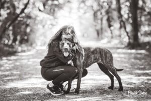 photographe pour les refuges d'animaux de compagnie