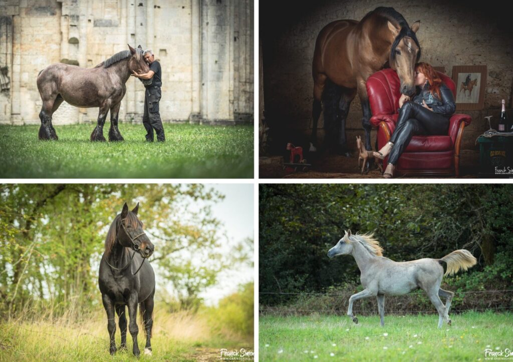 contactez votre photographe - Franck Simon - Grain de Pixel - photographe à Angoulême - Charente