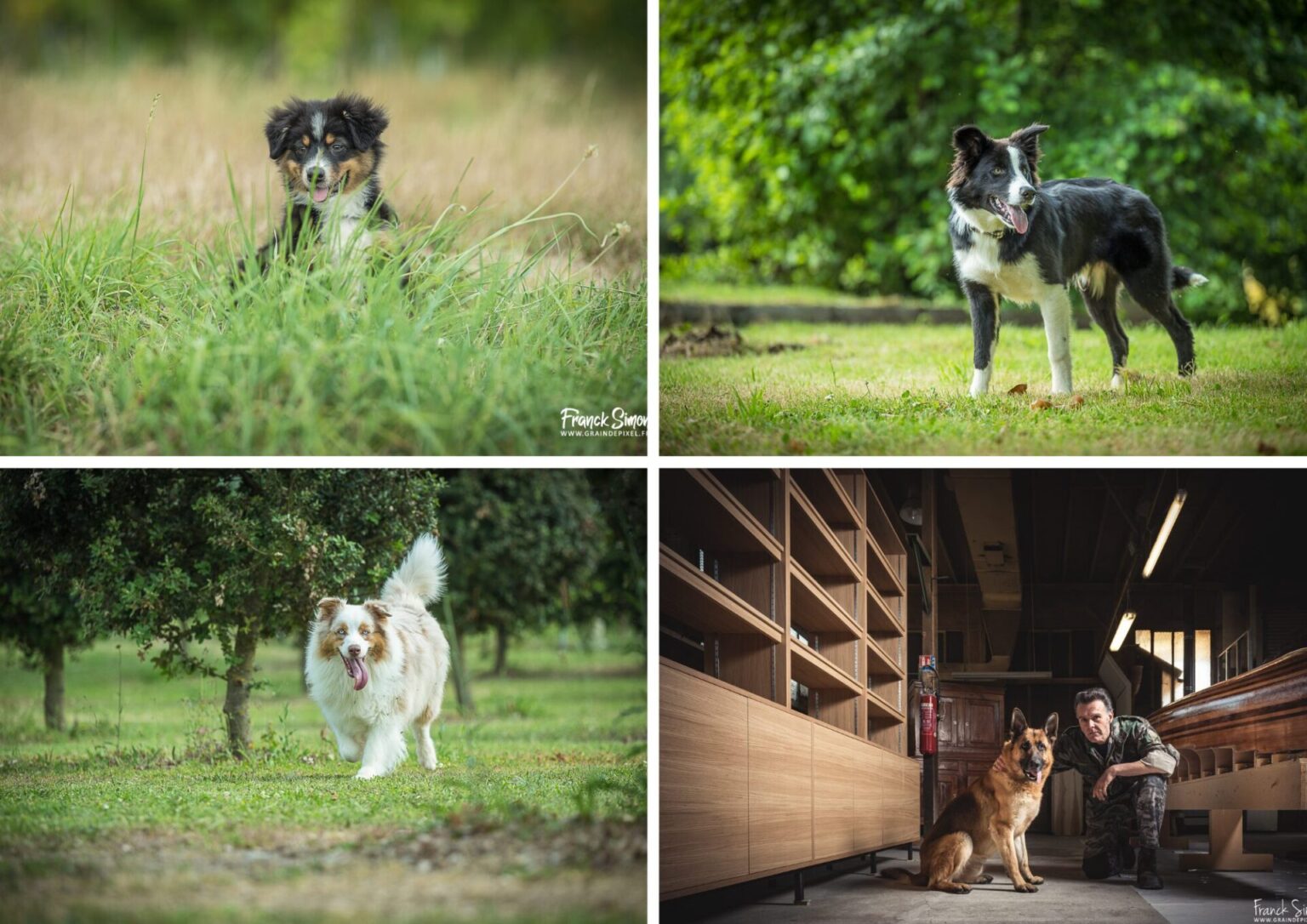 contactez votre photographe - Franck Simon - Grain de Pixel - photographe à Angoulême - Charente