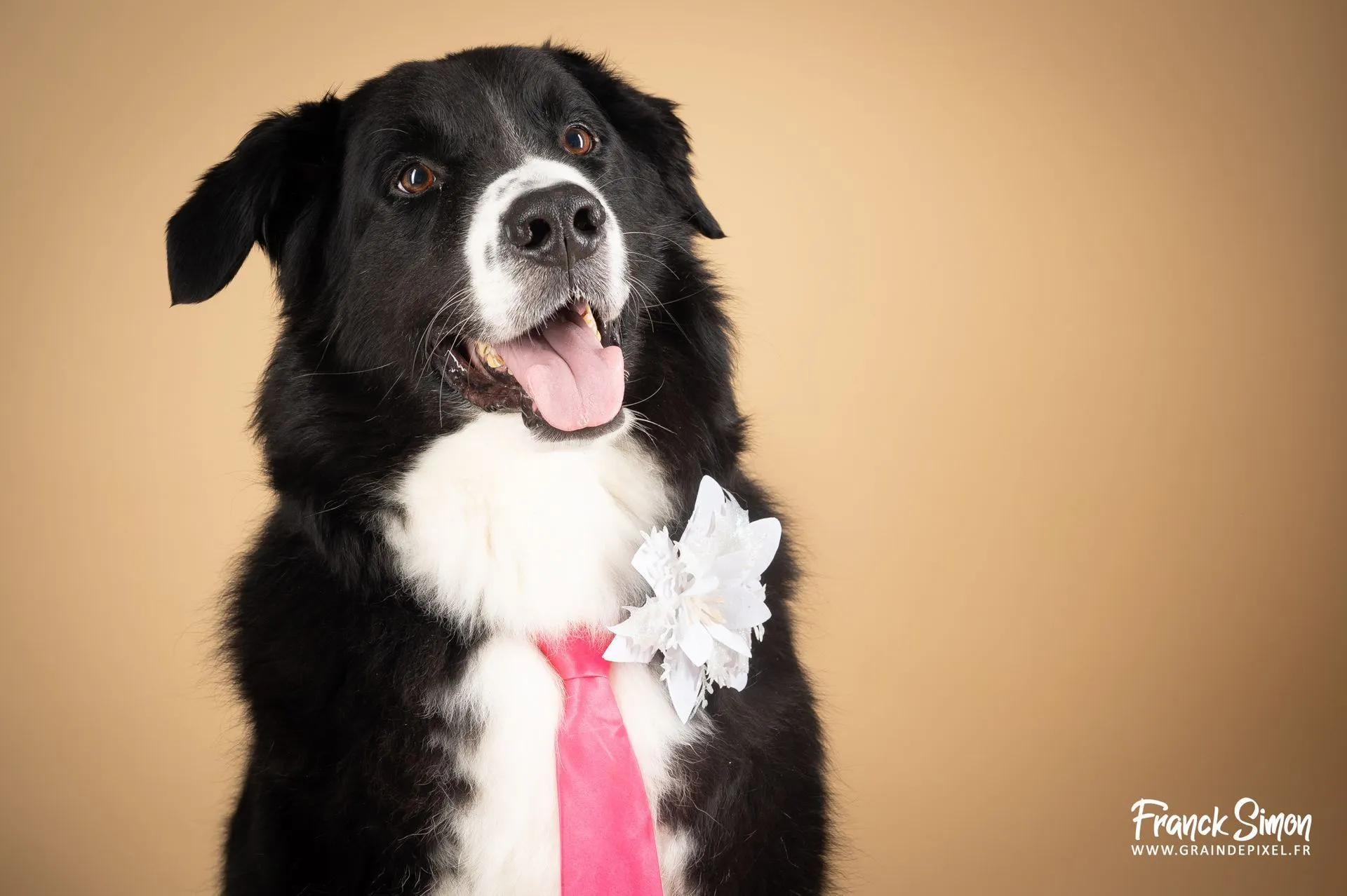 Apprenez à photographier avant de savoir retoucher - la retouche n'est pas la finalité