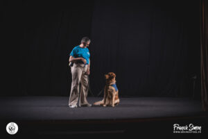 handi'chiens - délégation de Jonzac - théâtre de Jonzac - pour le projet photo in dog we trust - Franck Simon