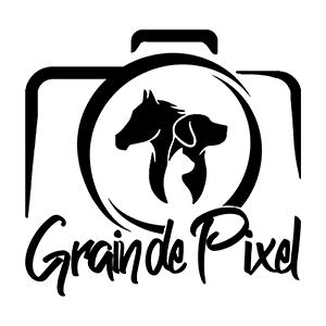 Grain de Pixel