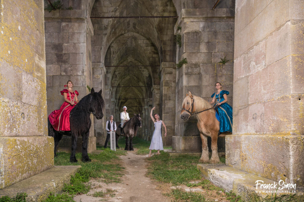 La balade musicale - chevaux de traits poitevin - spectacle équestre - Franck Simon - photographe équestre à Angoulême