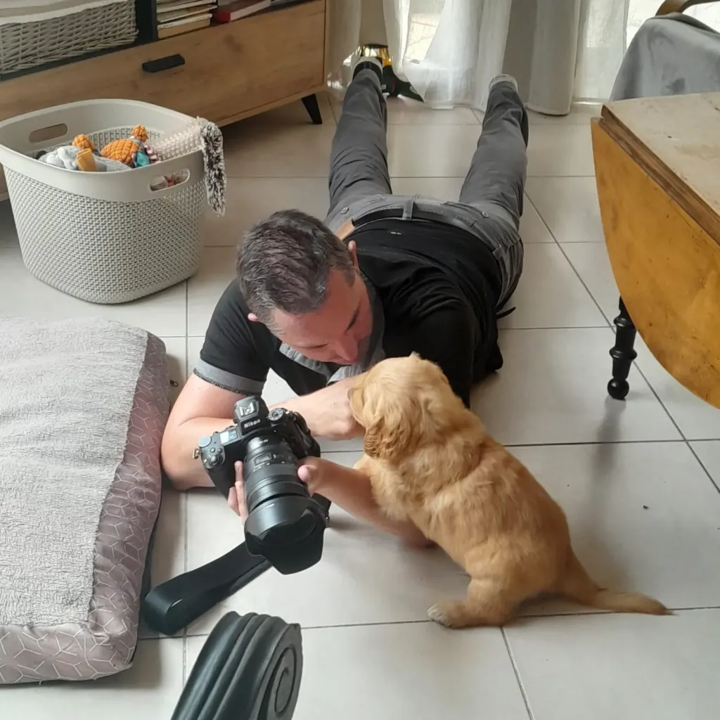 Franck SIMON - photographe équin et canin à Angoulême - Charente - Nouvelle Aquitaine