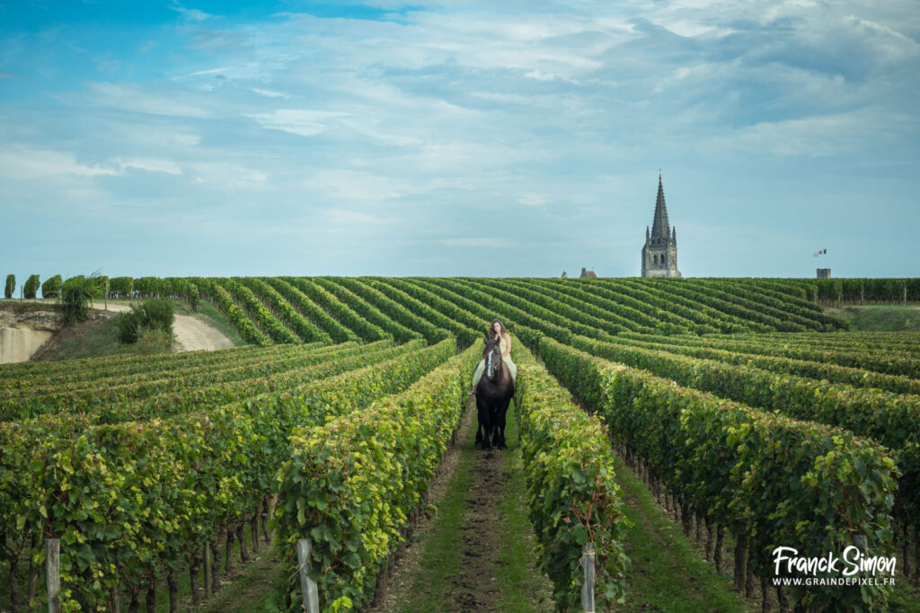 Photographie Équine à Saint-Émilion : Griotte & Hermès - heval des vignes - Franck SIMON - photographe équestre en Nouvelle Aquitaine