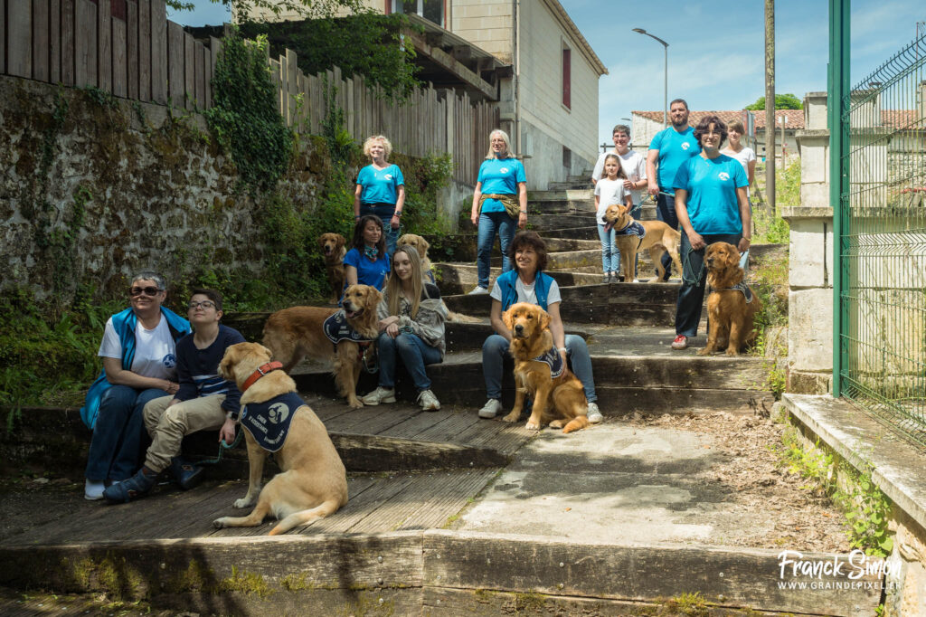handi'chien - travail photographique - association 4 pattes Jonzac et handi'Chiens - Franck SIMON - photographe canin en Nouvelle Aquitaine