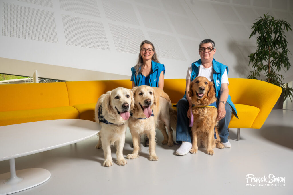 handi'chien - travail photographique - association 4 pattes Jonzac et handi'Chiens - Franck SIMON - photographe canin en Nouvelle Aquitaine