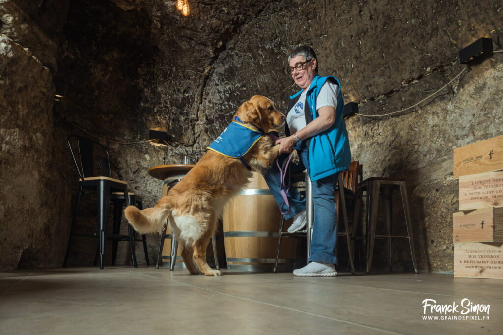 handi'chien - travail photographique - association 4 pattes Jonzac et handi'Chiens - Franck SIMON - photographe canin en Nouvelle Aquitaine