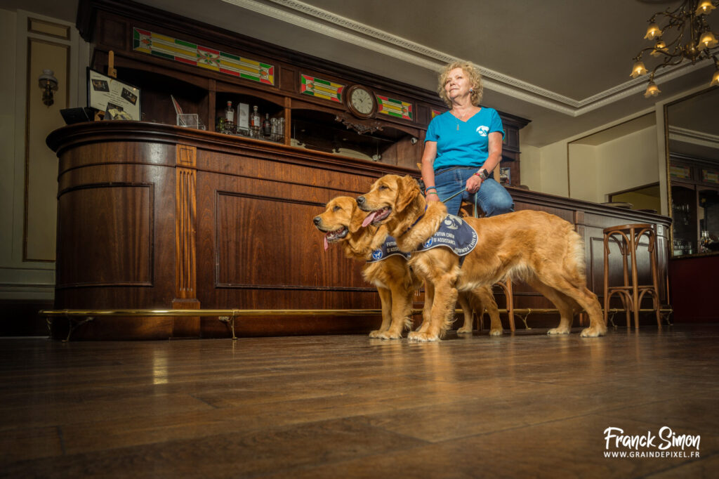 handi'chien - travail photographique - association 4 pattes Jonzac et handi'Chiens - Franck SIMON - photographe canin en Nouvelle Aquitaine