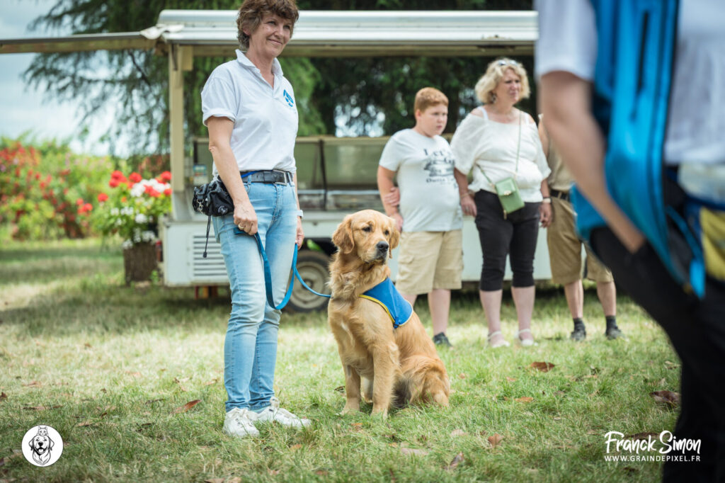 handi'chien - travail photographique - association 4 pattes Jonzac et handi'Chiens - Franck SIMON - photographe canin en Nouvelle Aquitaine